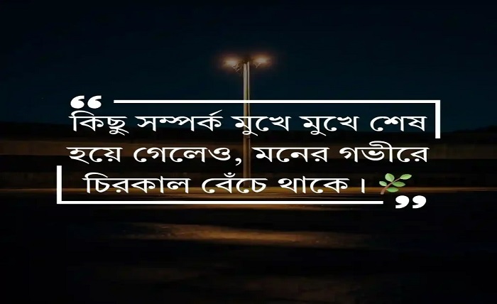 ক্যাপশন
